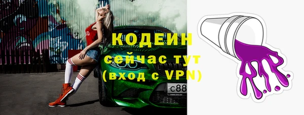 МДПВ Гусев