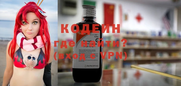 МДПВ Гусев