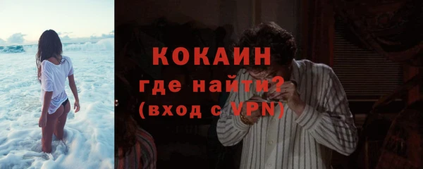 МДПВ Гусев