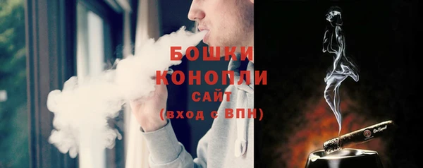 гидропоника Гусиноозёрск