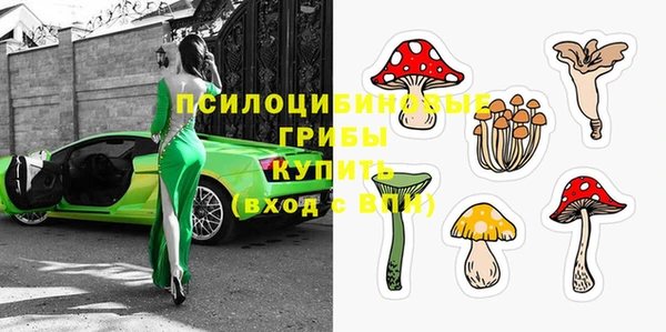 экстази Гусь-Хрустальный