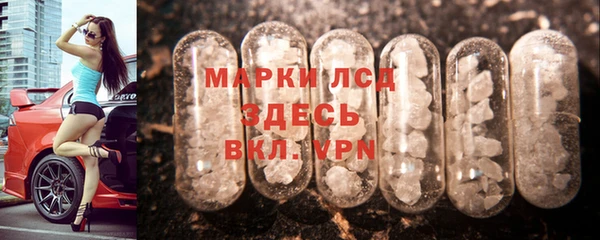 гидропоника Гусиноозёрск