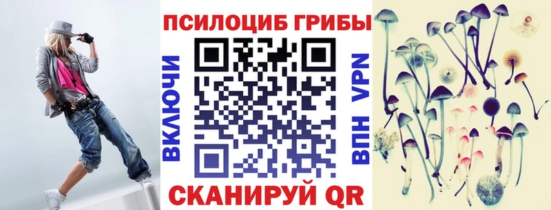Купить  Мосальск  Галлюциногенные грибы Cubensis 